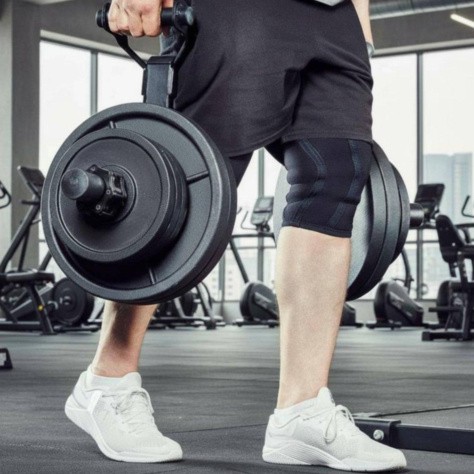 Suporte Organizador de Anilhas - Fitness Equipment avaliação e preço
