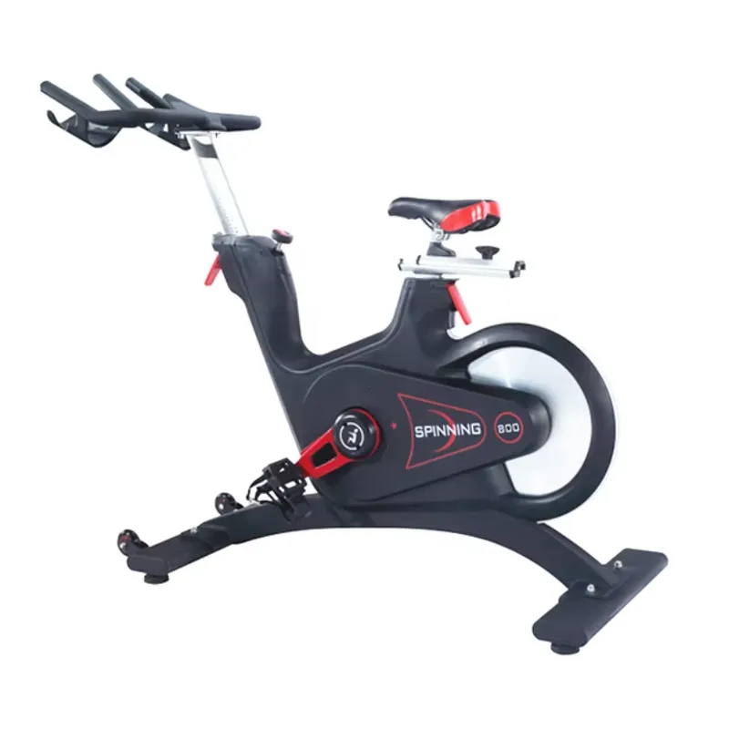 Bicicleta de Spinning Profissi - Exercise Bike Magnetic Resistance avaliação e preço