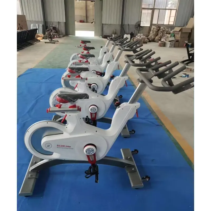 Bicicleta de Spinning Profissi - Exercise Bike Magnetic Resistance avaliação e preço