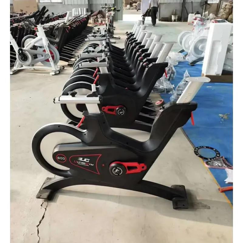 Bicicleta de Spinning Profissi - Exercise Bike Magnetic Resistance avaliação e preço
